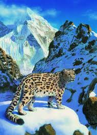 images (2)
